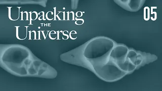 Ep 5 The magic of shells | Unpacking the Universe: The Making of an Exhibition