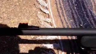 Mossberg MVP Patrol .223 -- Handy/Accurate