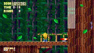 Sonic 3 A I R  2023 mod wood zone U L T I M A T E   Mania ray