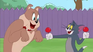 CARTOON :TOM & JERRY SHOW -anger mismanagement