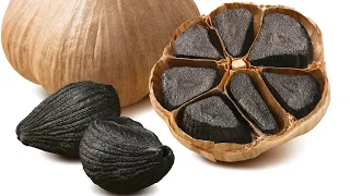 how to make black garlic in a dehydrator| Black garlic recipe