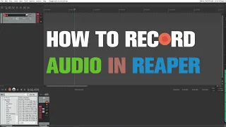 How to Record Audio in Reaper? Quick Tutorial