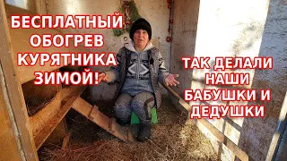 Бесплатный обогрев курятника// Самое дешёвое отопление для зимы для кур