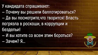 🤡Парочка Сидит На Диване...Большой Сборник Смешных Анекдотов,Для Супер Настроения!