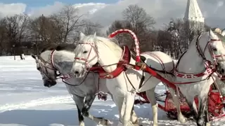 ВИТАЛИЙ АКСЕНОВ.  " ПОДАРКИ" ! ( видеоклип)