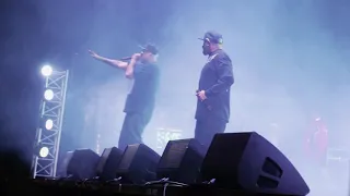 Cypress Hill Insane In The Brain Live HD