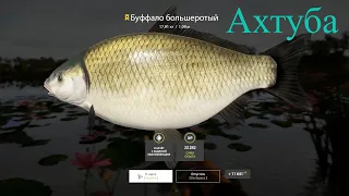 Русская Рыбалка 4 Ахтуба Трофей Буффало