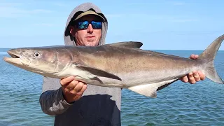 How to MAKE the BEST SMOKED FIsh DIP EVER !