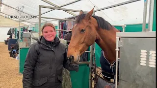 Meet Maud Hekking🇳🇱, groom for Dutch jumper rider Hendrik Jan Schuttert