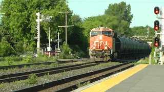 CN Train 368 Eastbound May 31, 2024