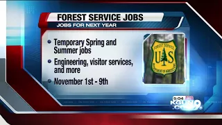 Forest Service accepting applications for temporary jobs