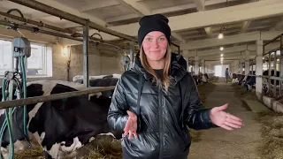 Молочно-товарна ферма. Знайомство