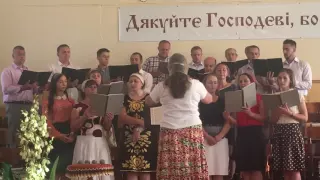 Як стежиною лісною.