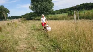 Tante Wiese und der Balkenmäher - oder "wie der perfekte Wellenschnitt einer Wildwiese gelingt" 😂