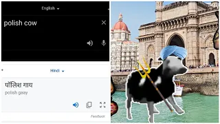 Polish Cow in different languages meme (part 1)