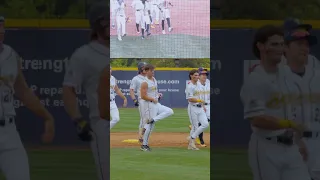 “Copperhead Road” Team Double Celebration | Savannah Bananas #shorts #savannahbananas #dance #sports