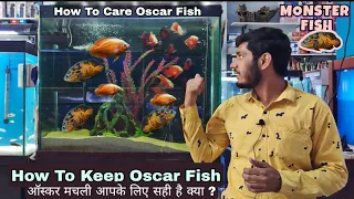 How to care Oscar fish - ऑस्कर मचली की देखभाल कैसे करे #Oscarfish