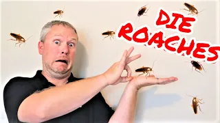 The ONLY Way to Get Rid of ROACHES - Tenant Left Cockroaches; Landlords, Don't Make These Mistakes!!