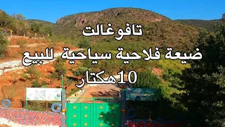 TAFOUGHALT 2023 مزرعة فلاحية سياحية للبيع في قلب جبال بني يزناسن تافوغالت بركان المغرب