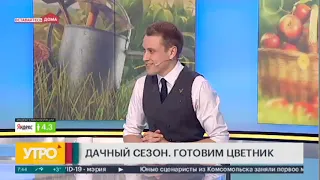 Дачный сезон. Готовим цветник. Утро с Губернией 27/04/2020 GuberniaTV