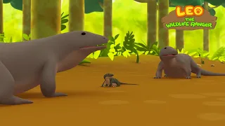 Komodo Dragon - Leo the Wildlife Ranger Minisode #105