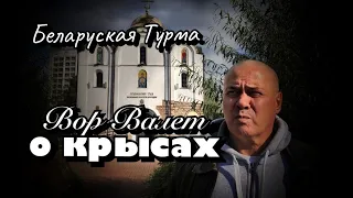 Вор в Законе Валера Валет о крысах