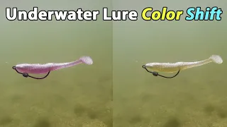 Underwater Lure Color Shifts (Is Your Lure Spooking Fish Due To This)?