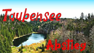 Taubensee Koessen Abstieg