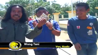 WONG TANI - VOC.KADIS–PUTRA SURTI MUDA–16 NOVEMBER 2018– BONGAS PENTIL ( ARYA PRODUCTION )