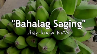 BAHALAG SAGING (LYRICS) BY JHAY-KNOW | RVW