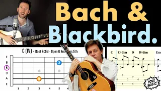 The Beatles' "Blackbird" & Bach's "Bourrée": Inside Paul McCartney's Classic Song (Guitar Lesson)