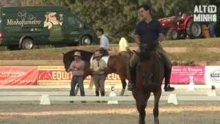 Reportagem da VII Feira do Cavalo de Ponte de Lima