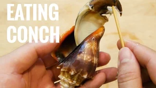 How to Make Conch Salad and Sushi - Catch and Cook