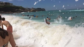 Inflatable Swan Surfing