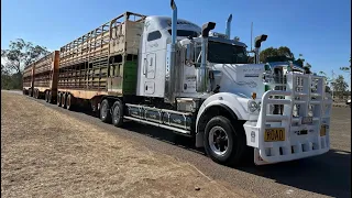 Cattle Road Trains of Australia 🇦🇺