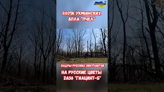 Охота БПЛА на артиллерию 2А36 Гиацинт ВС РФ #артиллерия #украина #война #россия #приколы