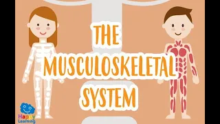 Pre-exam most important MSK cases revision (Part 2)