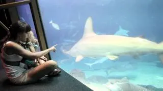 Maui Ocean Center - Hawaiian Aquarium