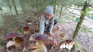 PICK / FORAGE, COOK and EAT!!! CRISPY MUSHROOM CHIPS Recipe! Foraging Mushrooms. Wild Mushrooms!