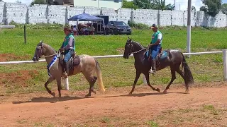 Égua Júnior de Marcha Batida.