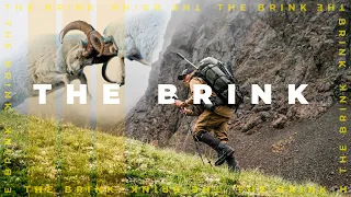 The Brink | Dall Sheep Hunting