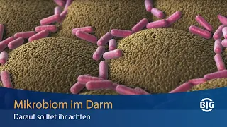 Mikrobiom im Darm - darauf solltet ihr achten