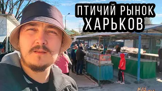 Харьков  Птичий Рынок во время военного положения!