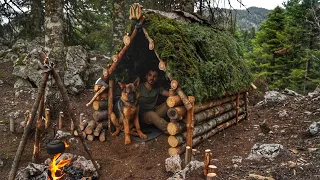 Caught in a Storm - Building Bushcraft Survival Shelter, Winter Camp in the Wilderness with My Dog