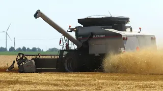 Gleaner Combine Wheat Harvest