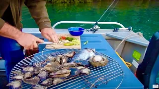 Solo Boat Camping BBQ... Catch And Cook Adventure...