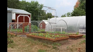 Raised Bed Hoops Revisited