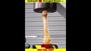 Hydraulic Press Vs Strongest Human Bones☠️ Of Different Countries  #shorts#whatif#uniqueexperiement