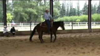 Christophe MOULIN RANCH 4 JUIN 2011 pattern 7