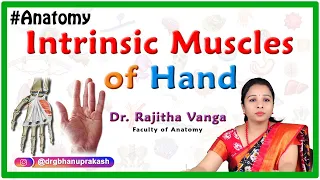 Intrinsic Muscles of the Hand